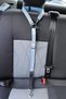 Pet Vehicle Seat Belt Cat Dog Car Auto Collar Auto Accessory Cat Dog Safety Belt - 2