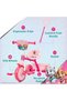 Paw Patrol Tricycle with Pushbar For Girls - 2