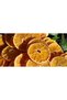 New Season - 100% Natural Dried Orange 500 Grams, No Additives - 7