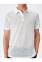 Short Sleeve Semi Sheer Regular Fit Polo Neck T-Shirt - 5