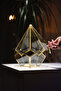 Chocolate Box Geometric Terrarium Glass Brass Gold Brass 31X22X22Cm Prism Jar Engagement Table Presentation - 5