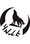 Gokturkish Turkish Written  and Crescent Sticker 20 X 20 cm