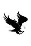 Eagle Sticker 20 X 18 cm