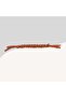 Bite Rope for Small Breed Dogs 17-18cm Puppy Mouth - 3