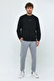 Men's Regular Fit Slim Sweatpants Spr25Ea81