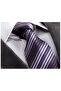 Purple Beige Brown Striped Gift Boxed Tie Handkerchief Set - 3