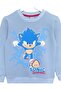 Sonic Print Crew Neck Long Sleeve Raster Soft Inner Texture Boy's Sweatshirt Set - 2