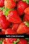 Protecoll |   Whey Protein and Collagen |   Strawberry Flavored |   21 Servings - 7