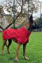 Large Breed Dog Raincoat, Dog Raincoat, Waterproof Dog Coat, Red 9-55kg