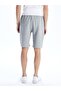 LCWAIKIKI Classic Standard Fit Men's Shorts - 4