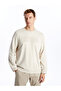 LCW Crew Neck Long Sleeve Printed Men's Sweatshirt