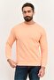 Men Crew Neck Solid Long Sleeves Sweatshirt, Orange