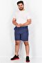 Men Micro Stripe Addi Walk Shorts, Navy - 4