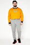 Men Sportswear Fit Athletic Crop Sweatshirt, Orange - 3