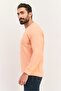Men Crew Neck Solid Long Sleeves Sweatshirt, Orange - 2