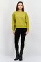 Women Crew Neck Embroidered Logo Long Sleeves Sweatshirt, Lime - 4