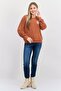 Women Crew Neck Embroidered Print Long Sleeves Sweatshirt, Rust - 4
