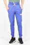 Men Regular Fit Solid Jogger Pants, Purple