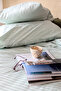 5 Star Luxury Hotel Type Double Elastic Striped Cotton Satin Duvet Cover Set 160x200 Mint Green - 2