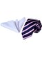 Navy Blue Lilac White Striped Gift Boxed Tie Handkerchief Set - 2