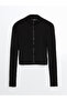 Nevavm with a Difference Stand Collar Straight Long Sleeve Women's Crop - 5