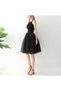Black 3 Layers 65 cm Length Puffy Tutu Women's Skirt Tulle Skirt - 3