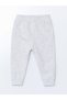 Lcw Baby Baby Boy Sweatshirt and Sweatpants - Crew Neck, Printed, Set of 2 - 8