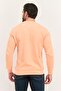 Men Crew Neck Solid Long Sleeves Sweatshirt, Orange - 3
