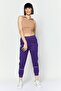 Women Regular Fit Solid Jogger Pants, Purple - 4
