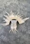 Cream Rooster Feather Crystal Beaded Bridal Henna Tiara and Earring