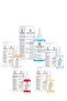Containing AHA/BHA - Pore Firming and Purifying Tonic, Pore Tightening Purifying - 4