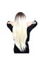 Long Straight Bangs Fiber Synthetic Wig - Light Brown/Platinum Ombreli - 4