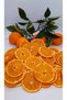 New Season Is Dried Orange - 5 Kilo Production - 3
