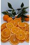 New Season Is Dried Orange - 5 Kilo Production - 5