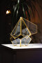 Chocolate Box Geometric Terrarium Glass Brass Gold Brass 31X22X22Cm Prism Jar Engagement Table Presentation - 6