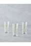 Petal Glass 3-Piece Glass Set 290 ml Yellow