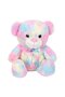 4771 Rainbow Color Plush Bear 45 cm -Sunman
