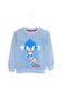 Sonic Print Crew Neck Long Sleeve Raster Soft Inner Texture Boy's Sweatshirt Set - 3