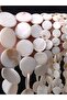 20mm about 20pcs Natural White Shell Beads For Jewelry Making Round Flat Mother of Pearl Shell Beads - 8