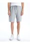 LCWAIKIKI Classic Standard Fit Men's Shorts - 2