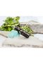 Milano Fragrance Men's Shower Gel - Contains Natural Plant Extracts Hyaluronic Acid and Vitamin B5 - 6