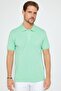 Men's Slim Fit Slim Fit 100% Cotton Plain Pique Mint Polo Collar T-Shirt - 2