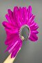 Fuchsia Hera Feather and Stone Bridal Henna Crown Accessory - 7