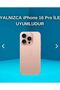 iPhone 16 Pro (6.3 Inch) Compatible Shiny Epoxy Lux Transparent Case with Glitter Relief Figure - 2