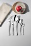 Deniz Saten 6-Person 30-Piece Cutlery Set with Box