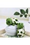 Plush Toy Doll Turtle Keychain and Bag Accessory 1Pcs