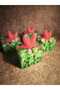 Sea Star Concept Special Design Gift Decorative Soap - 3