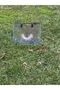 Hologram Pvc Printed Beach Bag - 4