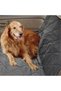Dog Cover Seat Protector Case Cover Liquid Waterproof Car Interior Cover - 7