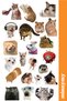 3Pcs Funny Cat, Cats, Sticker, Sticker, Agenda, Diary, Planner, Bullet Journal, Scrapbook - 2
